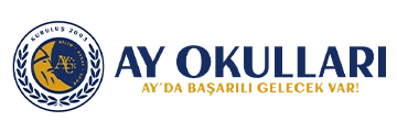Ayokullari logo - Most Dijital reference project
